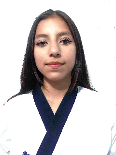 Perfil
