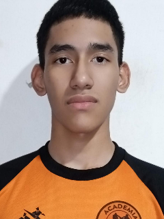 Perfil