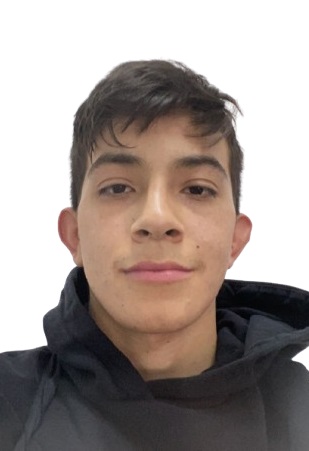 Perfil