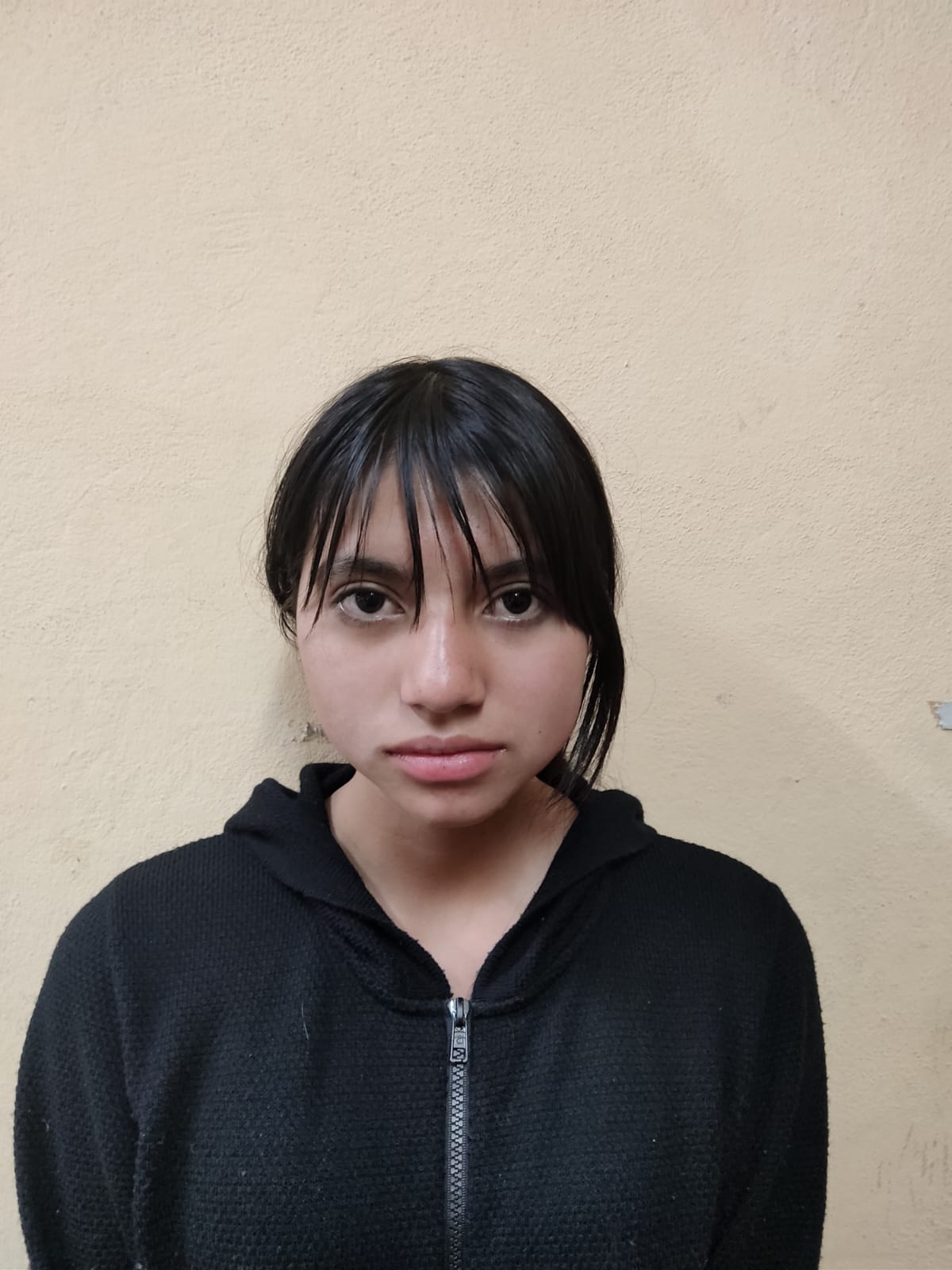 Perfil