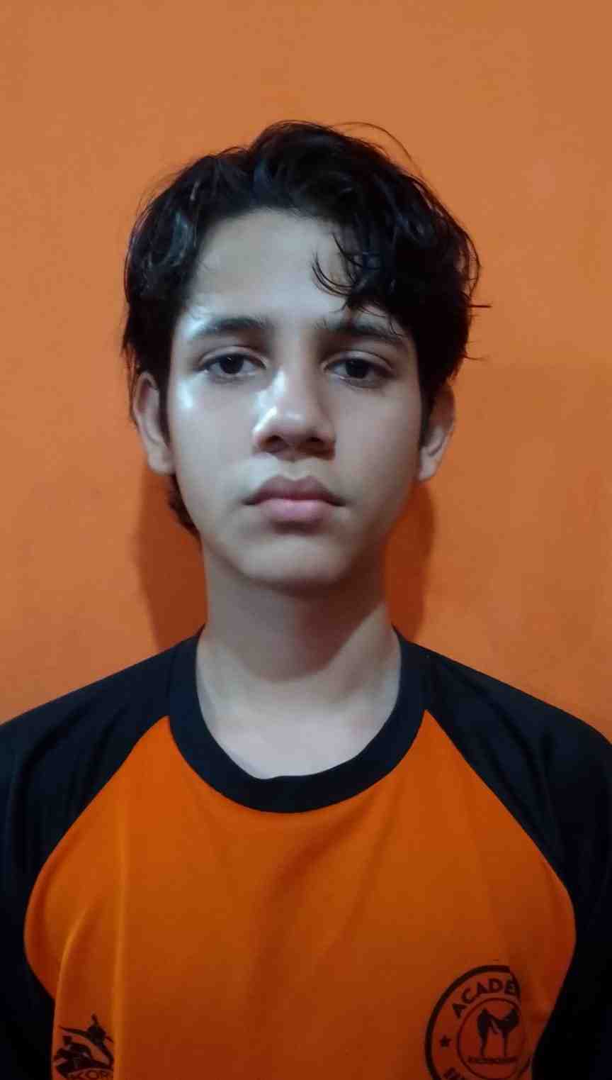 Perfil