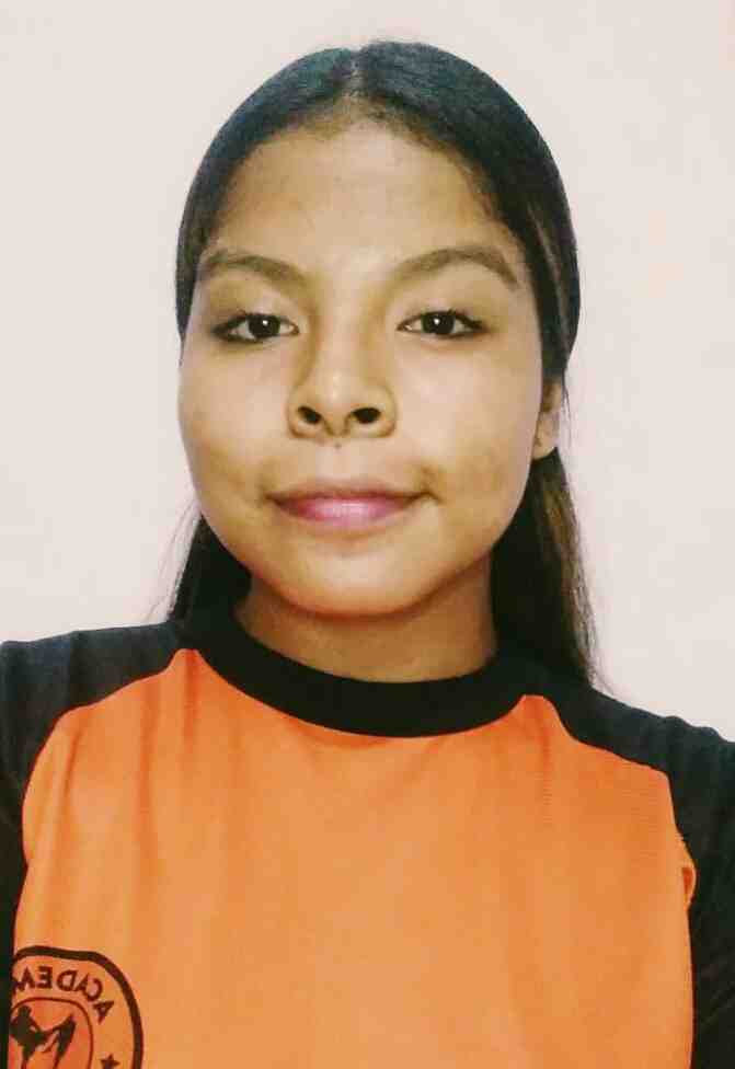 Perfil