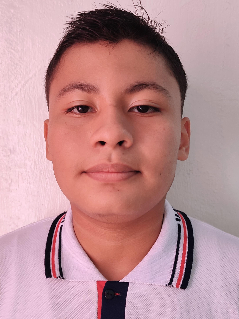 Perfil