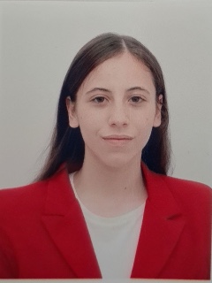 Perfil