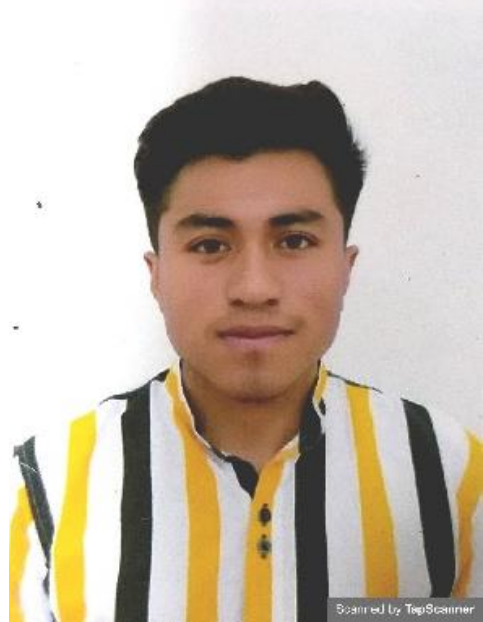 Perfil