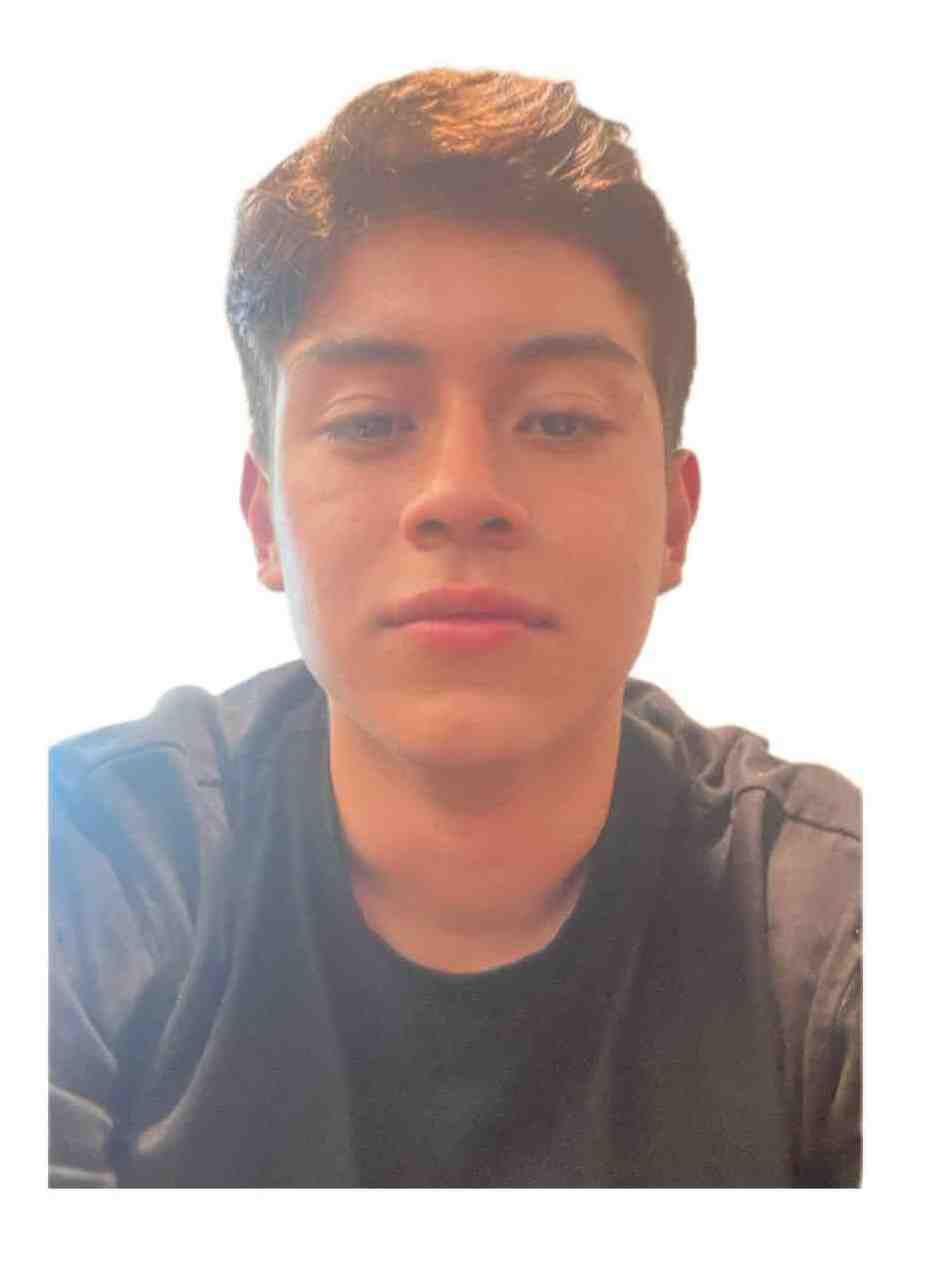 Perfil