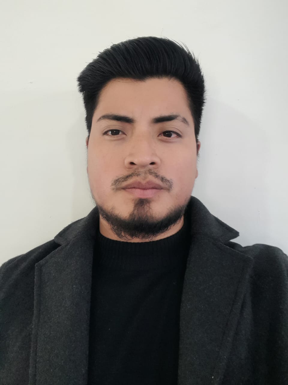 Perfil