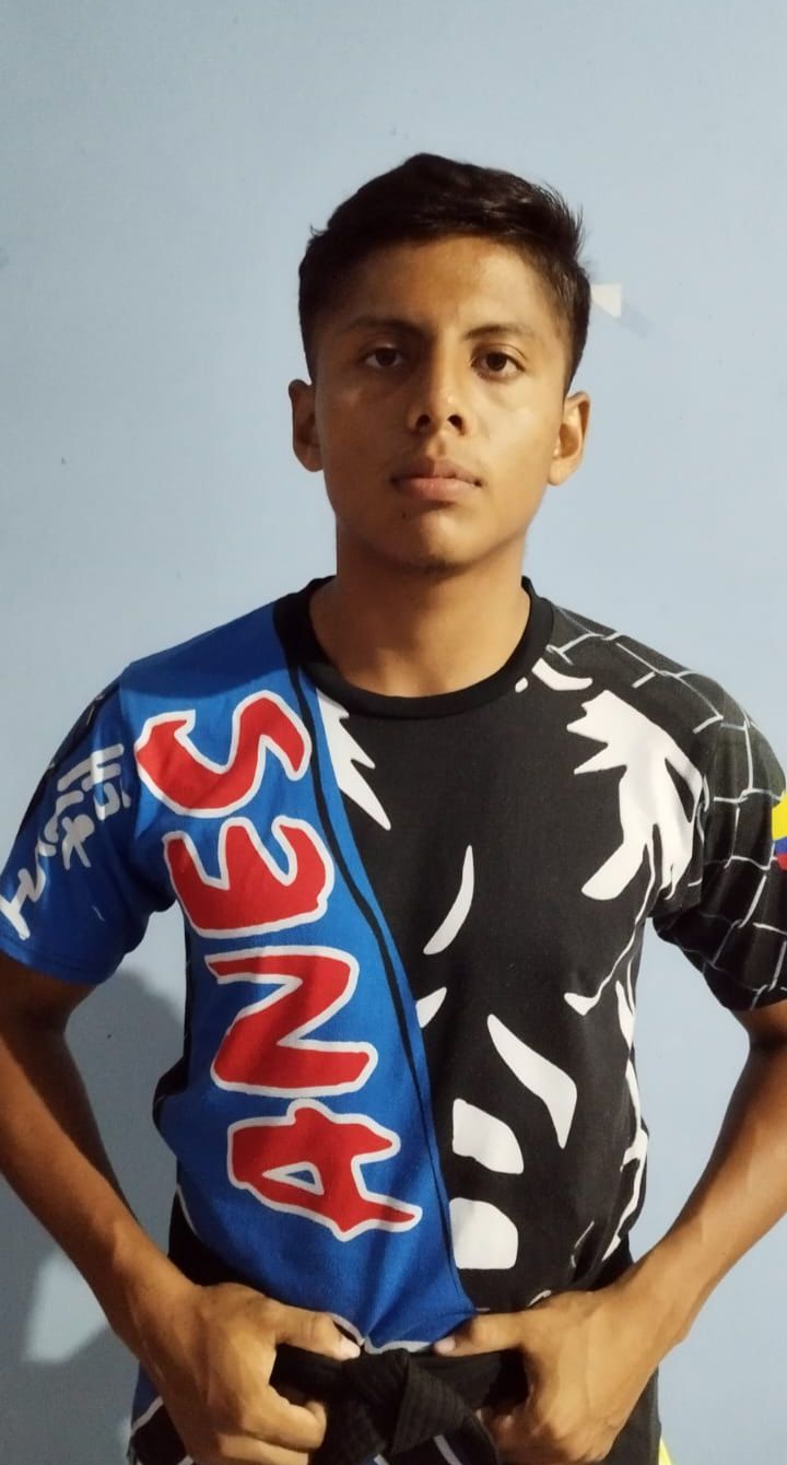 Perfil