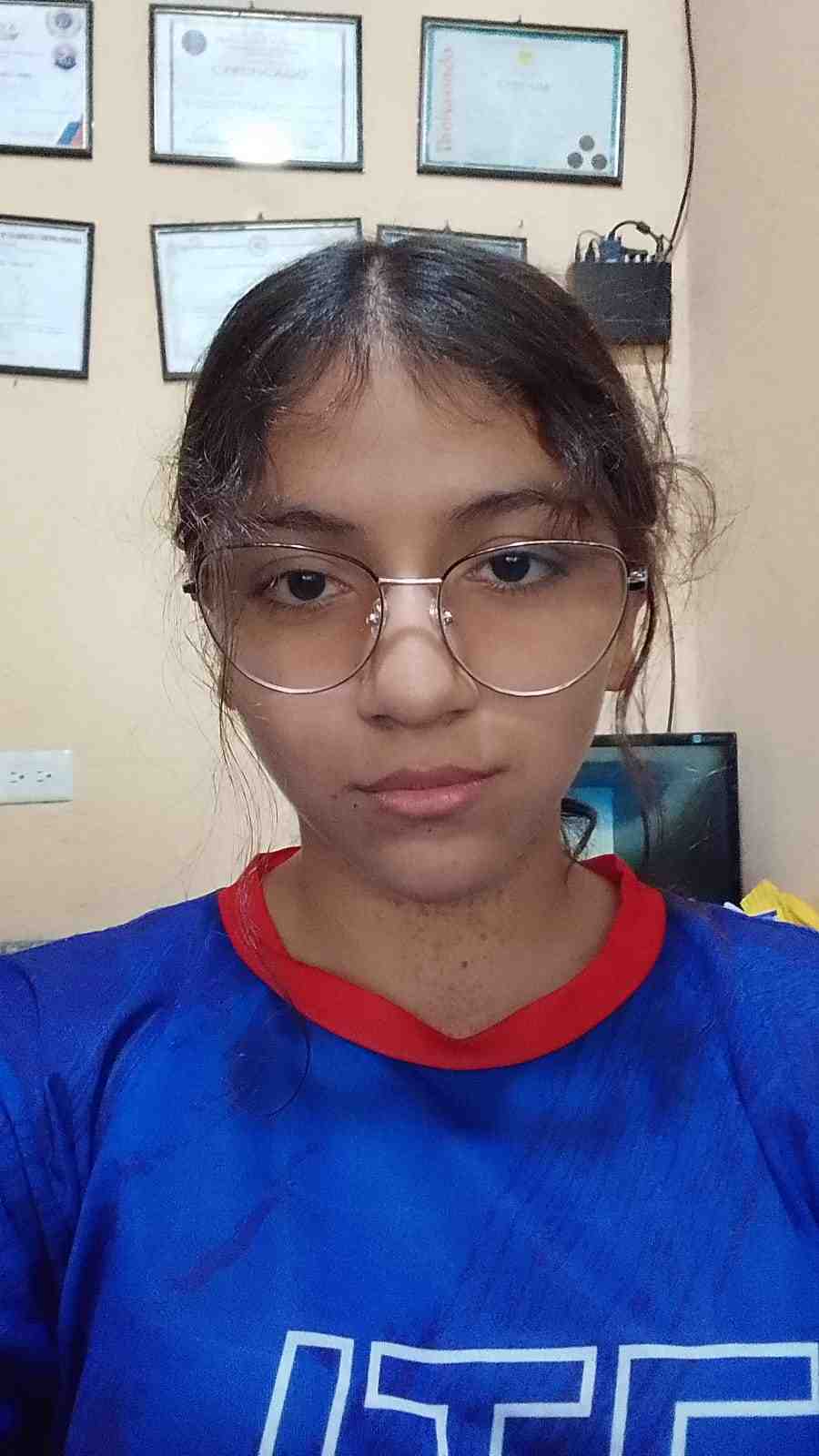 Perfil