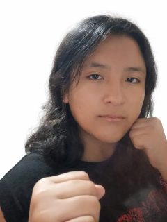 Perfil