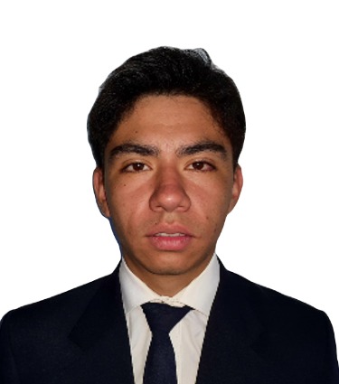 Perfil