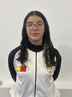 Perfil