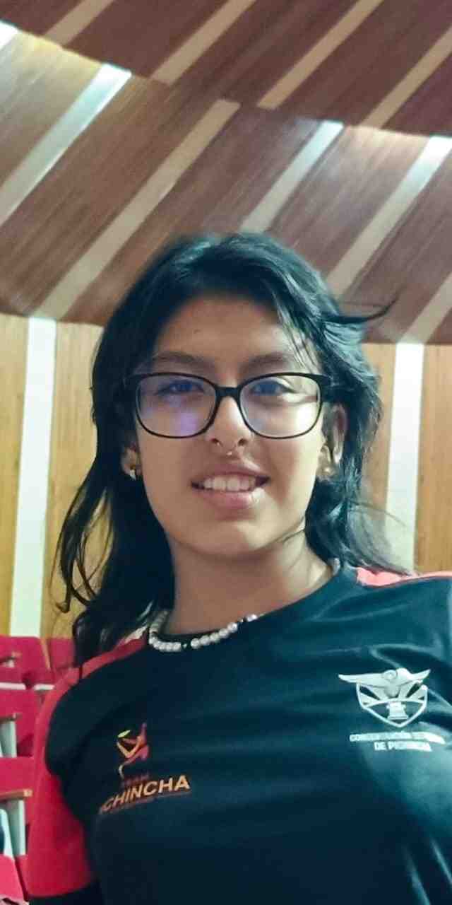 Perfil
