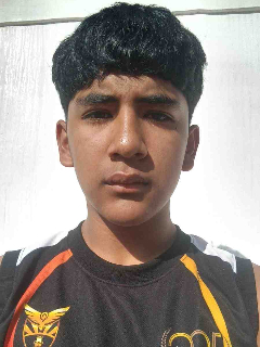 Perfil