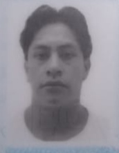 Perfil