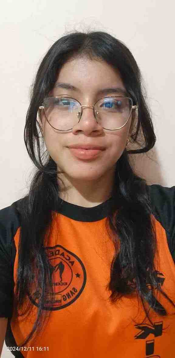 Perfil