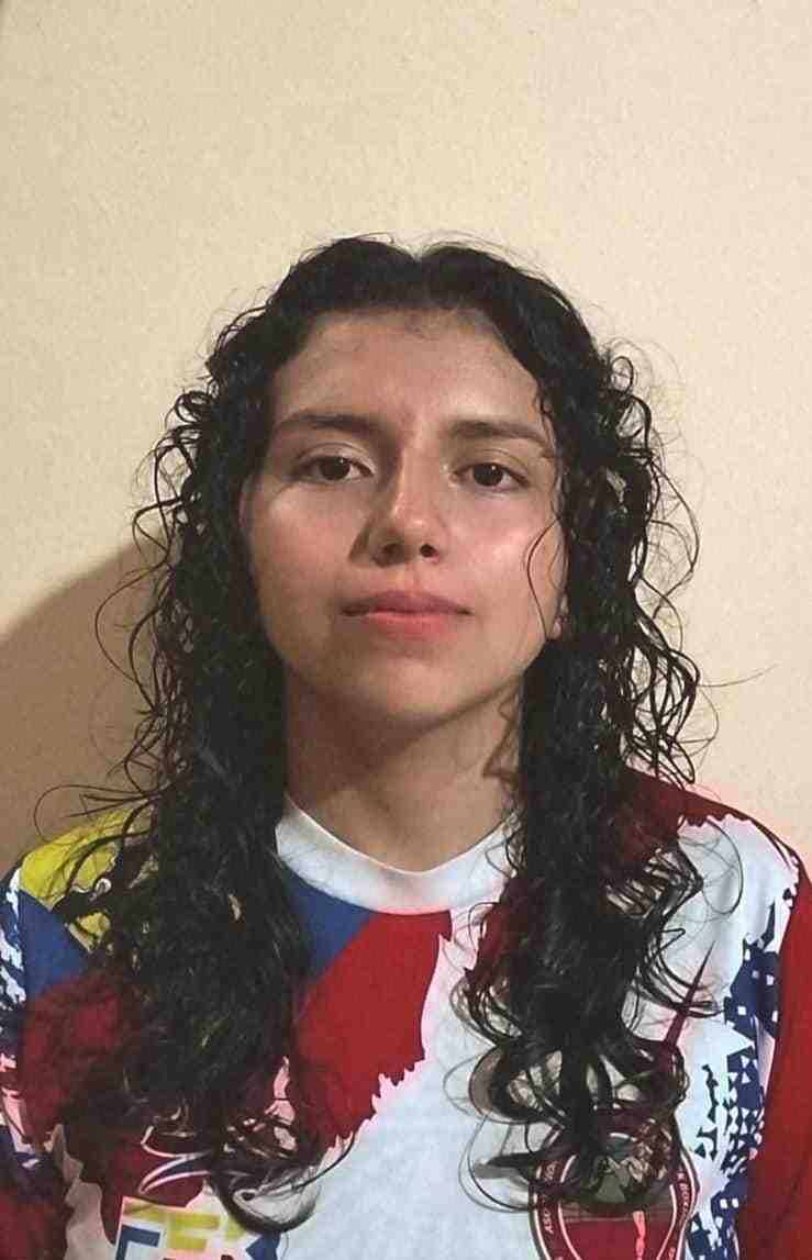 Perfil