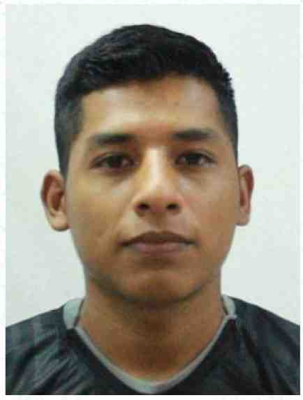 Perfil