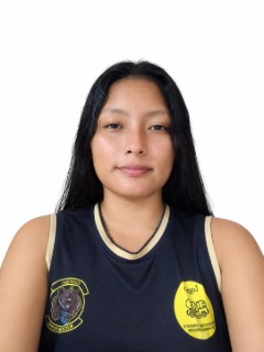 Perfil