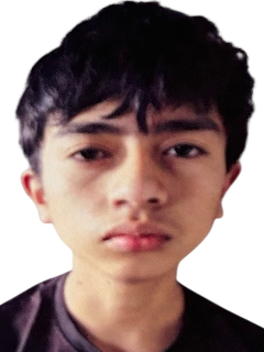 Perfil
