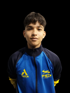 Perfil