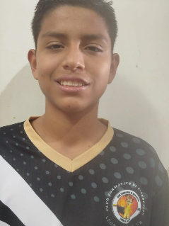 Perfil