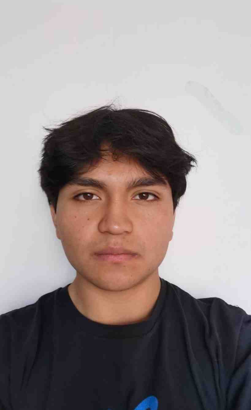 Perfil