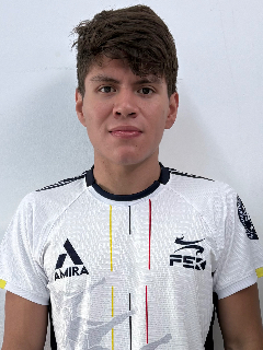 Perfil