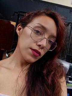 Perfil