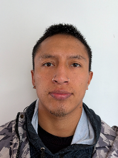 Perfil