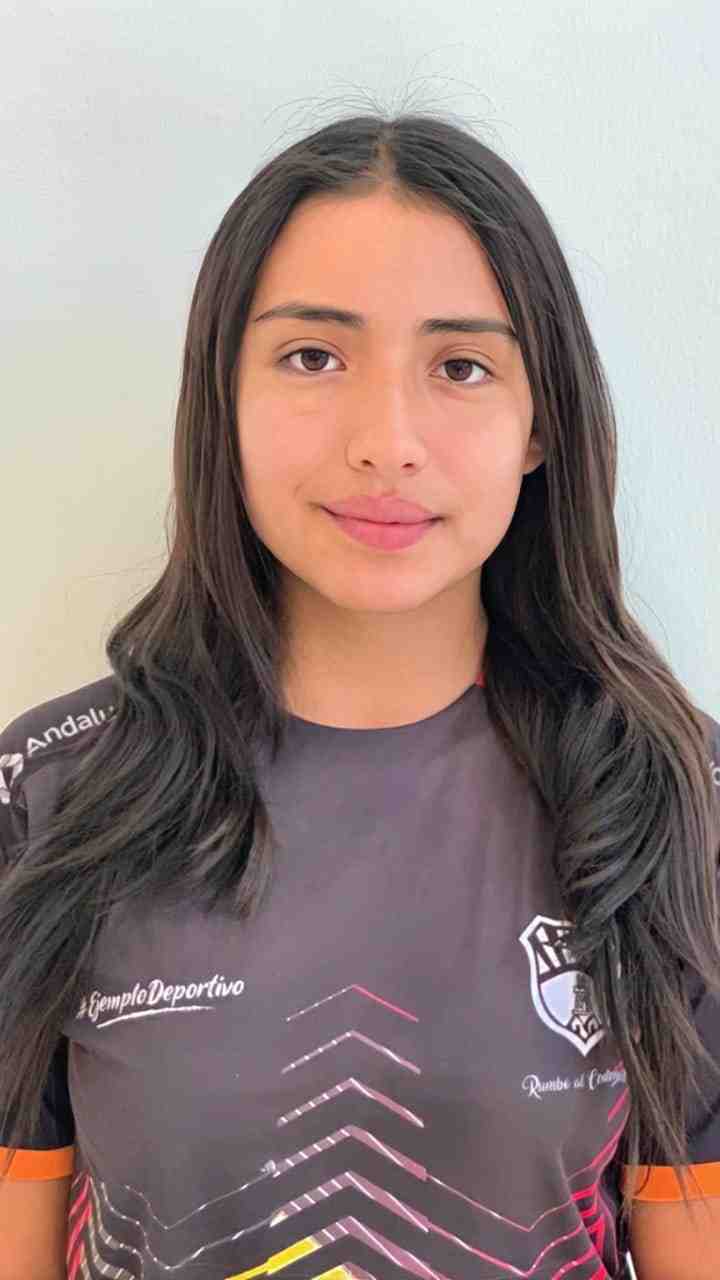 Perfil
