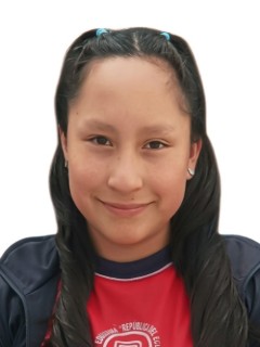 Perfil