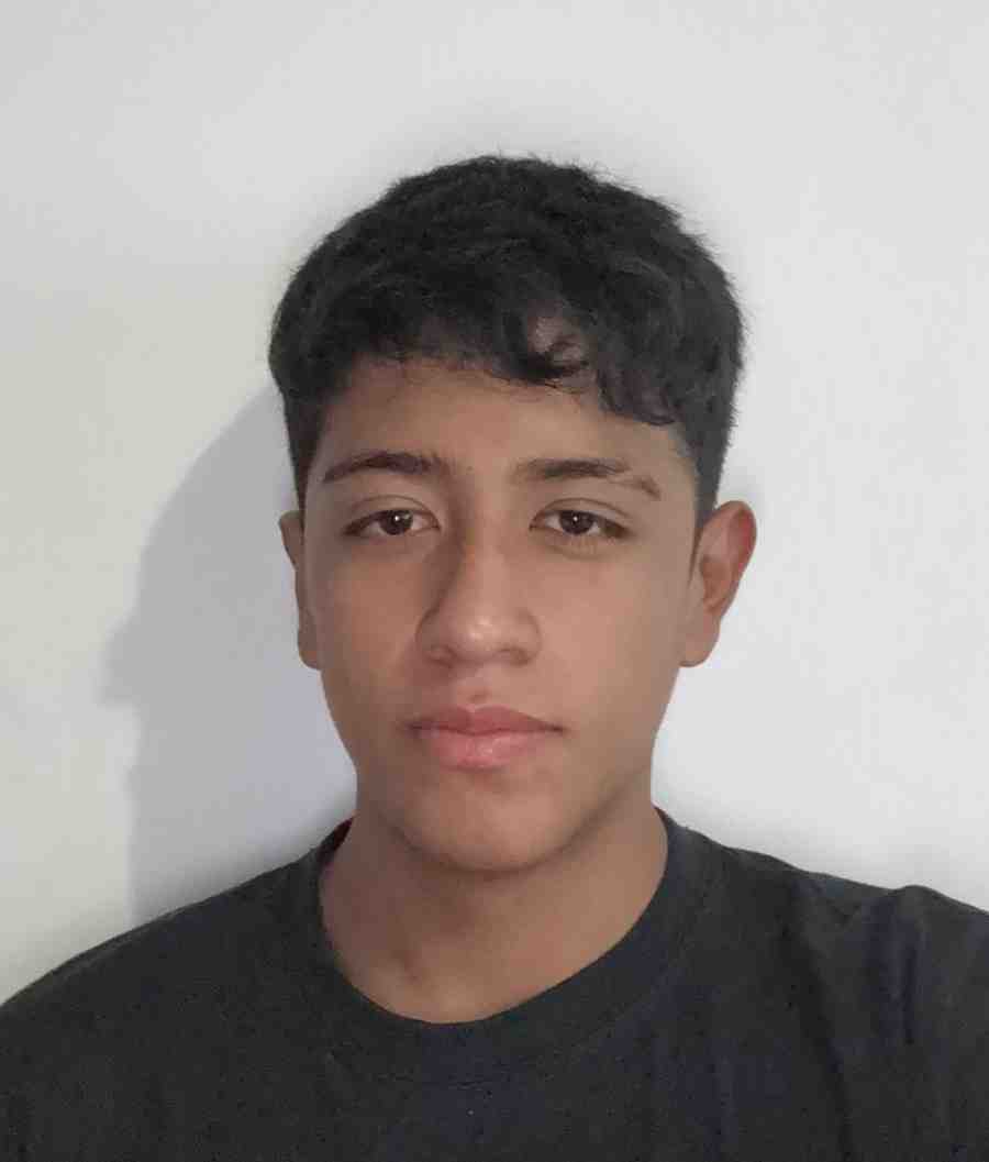 Perfil