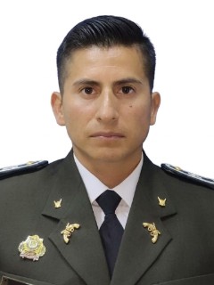 Perfil