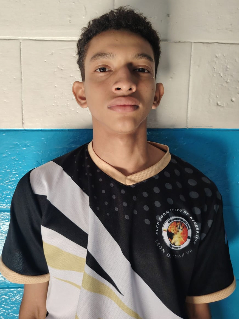 Perfil
