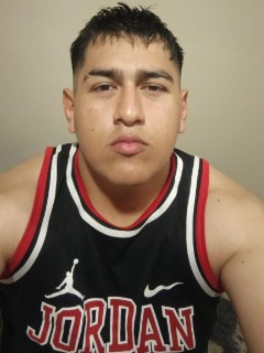 Perfil
