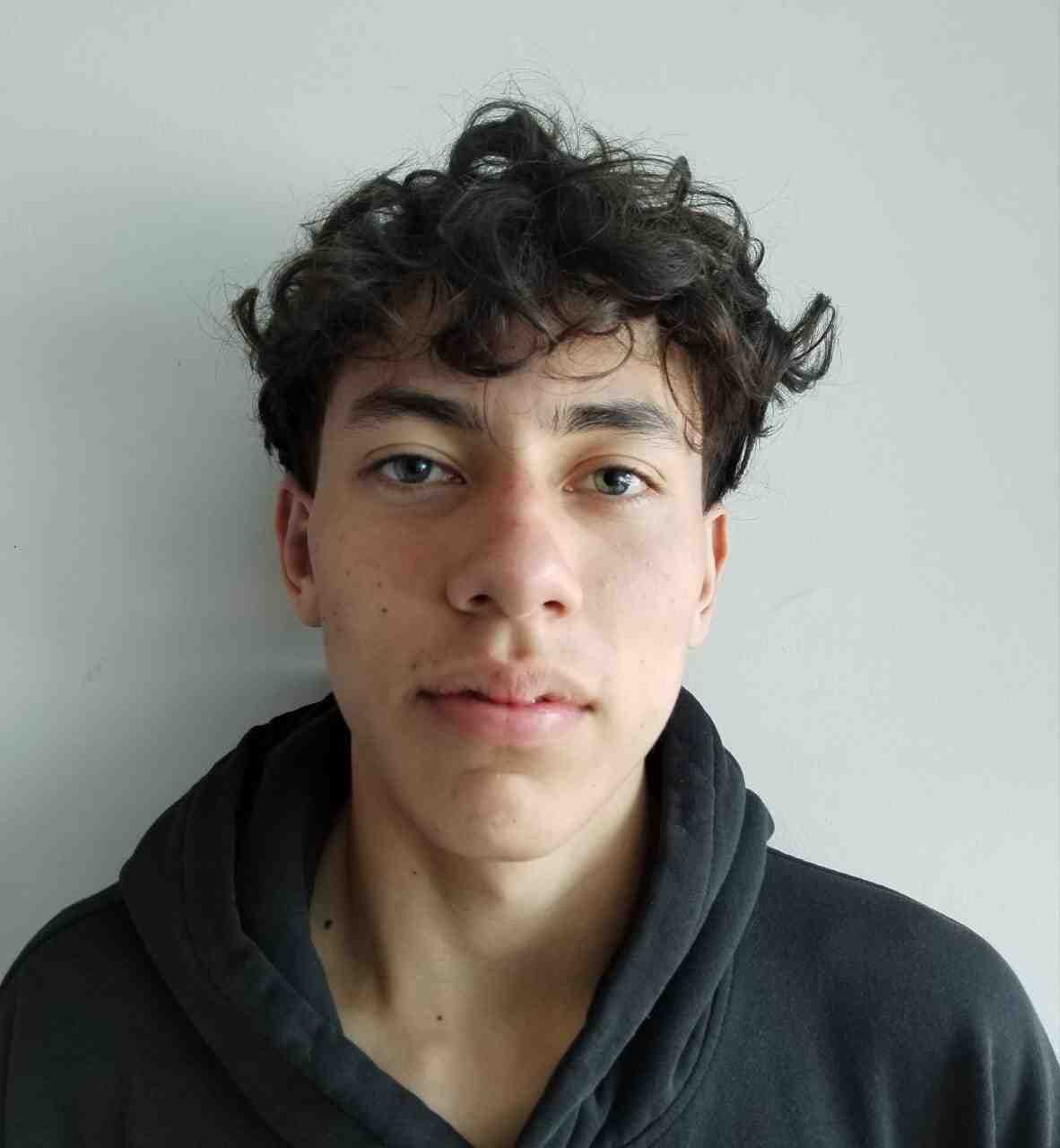 Perfil