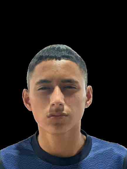 Perfil
