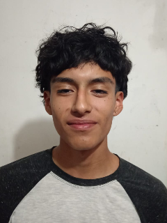 Perfil