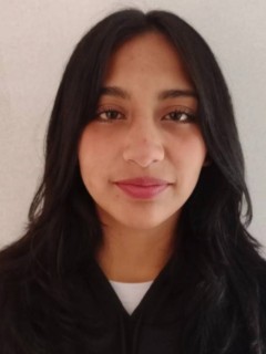 Perfil