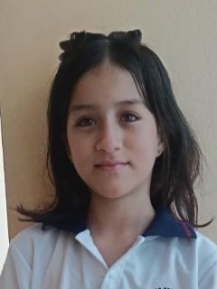 Perfil